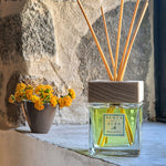PROFUMATORE AMBIENTE 200 ml - immagine 4